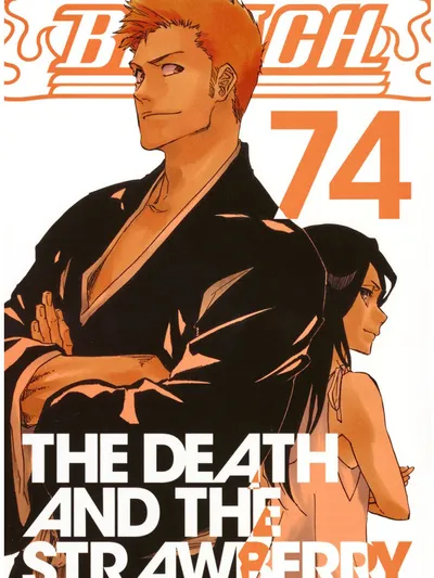 Bleach Manga Online
