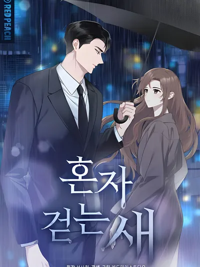 Solitary Bird Manga Online