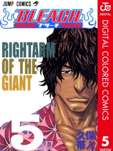 Bleach - Digital Colored Comics Manga Online
