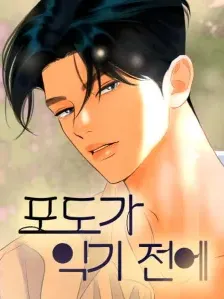 Before The grapes Ripen Manga Online