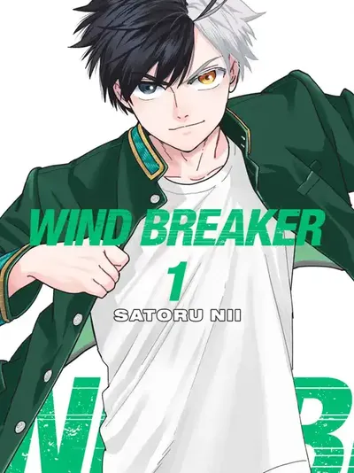 Wind Breaker (NII Satoru)